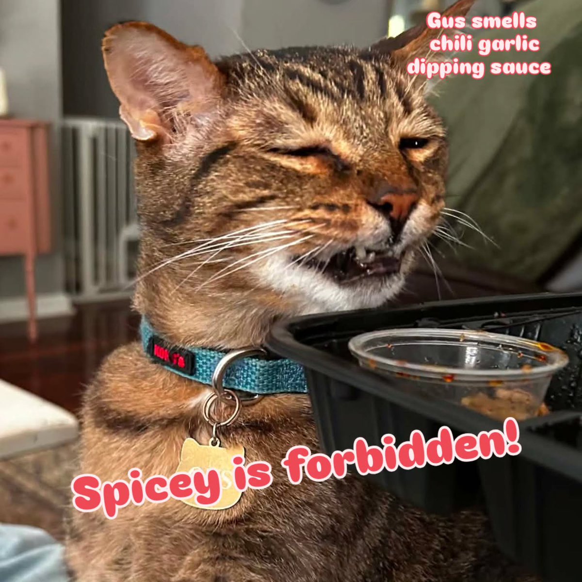 VerlieCooklae6's tweet photo. Gus says no to spicy food! https://t.co/yoH2f6hP4j
