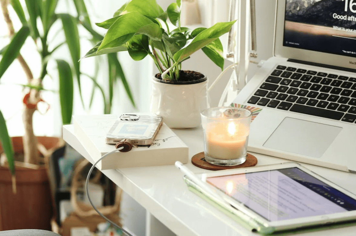 AsleyRaviele's tweet photo. [Mid-week slump hit hard, desk plant’s judging my keyboard stare. Officially “processing work data”… mostly daydreaming of weekend coffee. ]， https://t.co/X96rcygowu