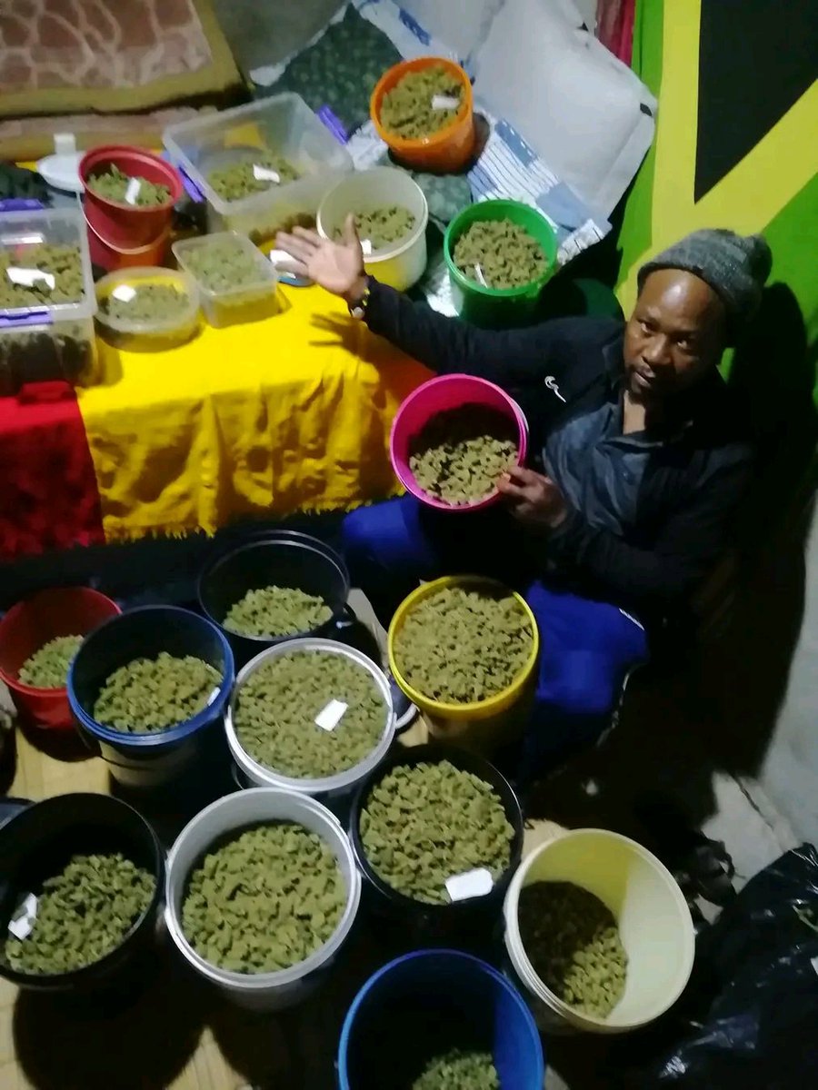 NzuzieN's tweet photo. Kwa Ras Riddim foundation's office ❤️
WhatsApp me on 0762950947 now if ufuna i Herbs 🇿🇦🇿🇦🇿🇦🇿🇦🇿🇦🇿🇦🌿💞💞💞🫡 https://t.co/wXT94k9Dyr