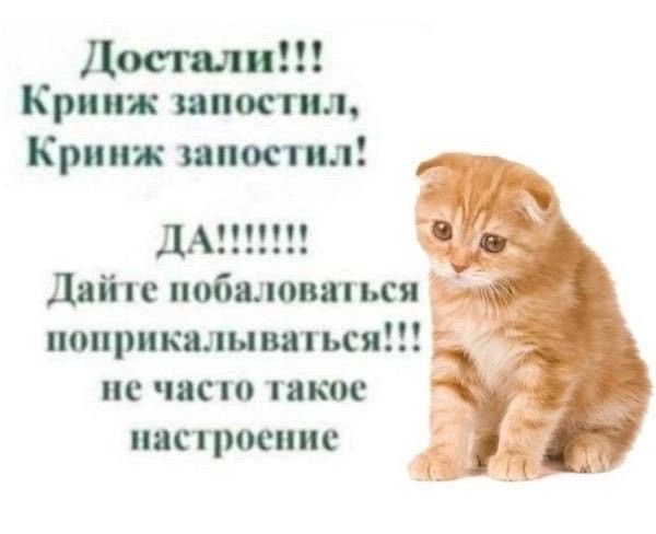 Kamiluk771's tweet photo. https://t.co/d5qfSKH7qY