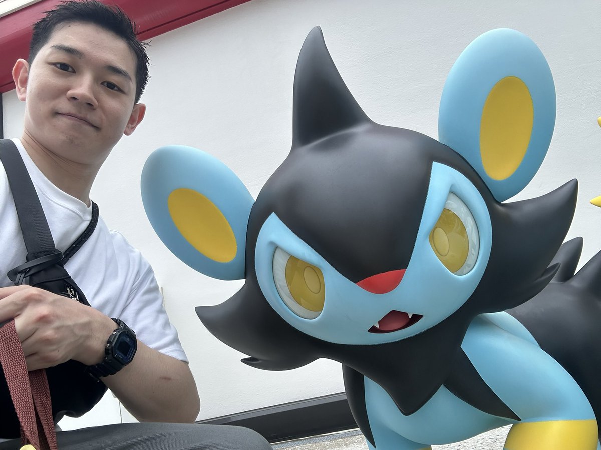 dondongo745's tweet photo. ポケパーク https://t.co/vCz5MgZAWV