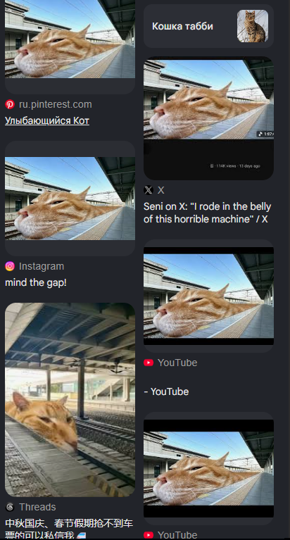 AuthorPande's tweet photo. THIS THIS THE NEXT TRAIN DOG?????

This TRAIN CAT is going insanely viral all over Japan right now...

Japan is crashing out over this cat af, hundreds of thousands of memes and posts in the last 24H

625k views

tweet;https://t.co/Aq5rmK9XCs https://t.co/AEw4q9B6Og