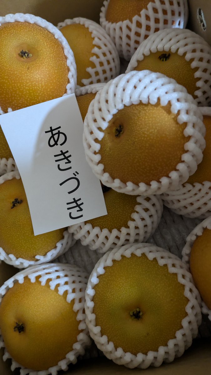 Snow18924763's tweet photo. ふるさと納税で梨が届きました☺️ https://t.co/hJ9gcDRt0d
