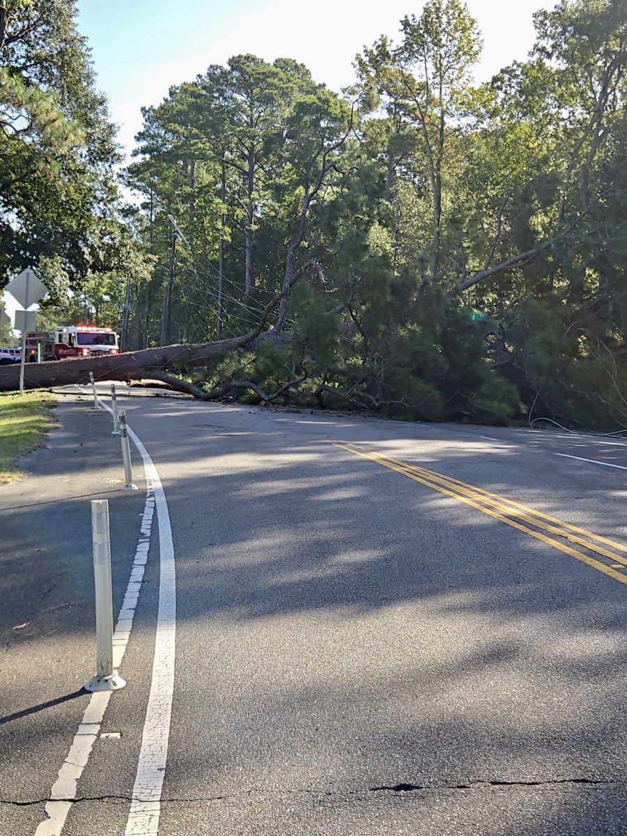 WilmingtonPD's tweet photo. TRAFFIC ALERT🚥⚠️

Greenville Loop Road will be closed between Darby Street and Head Road due to a tree falling and damaging power equipment. Estimated time for the closure is 3-4 hours. Drivers are advised to please seek an alternate route. https://t.co/SJqCs0x1E7