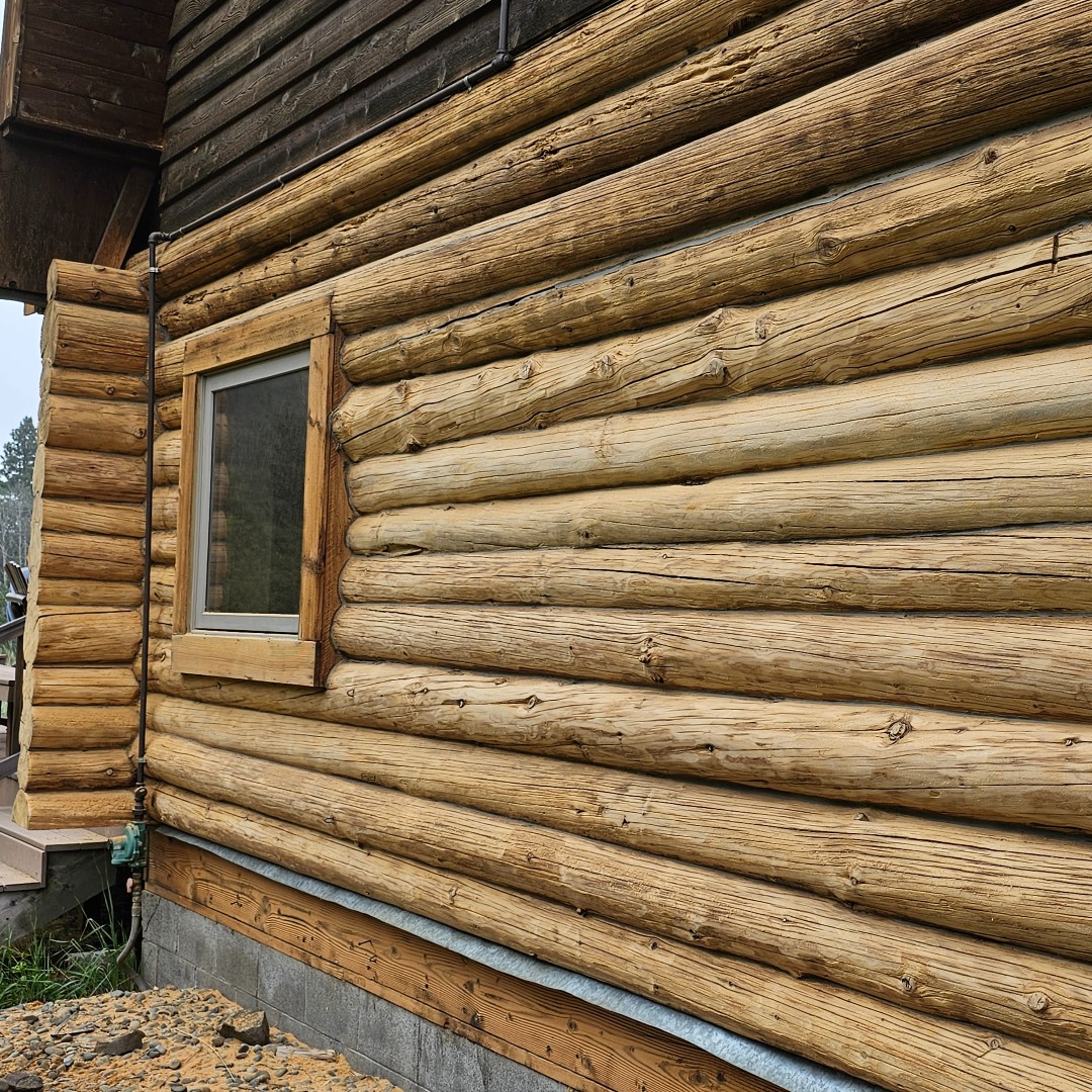 PERMACHINK's tweet photo. 🪵 What a transformation!
For this week’s #ContractorsCorner, Jon Ozbun restored this log home in Kittitas County, WA using Lifeline Ultra-7 Almond with tan Perma-Chink.
The warm finish really brings the grain and character of these logs back to life. 👏
#LogHomeRestoration https://t.co/ETukWaijNN