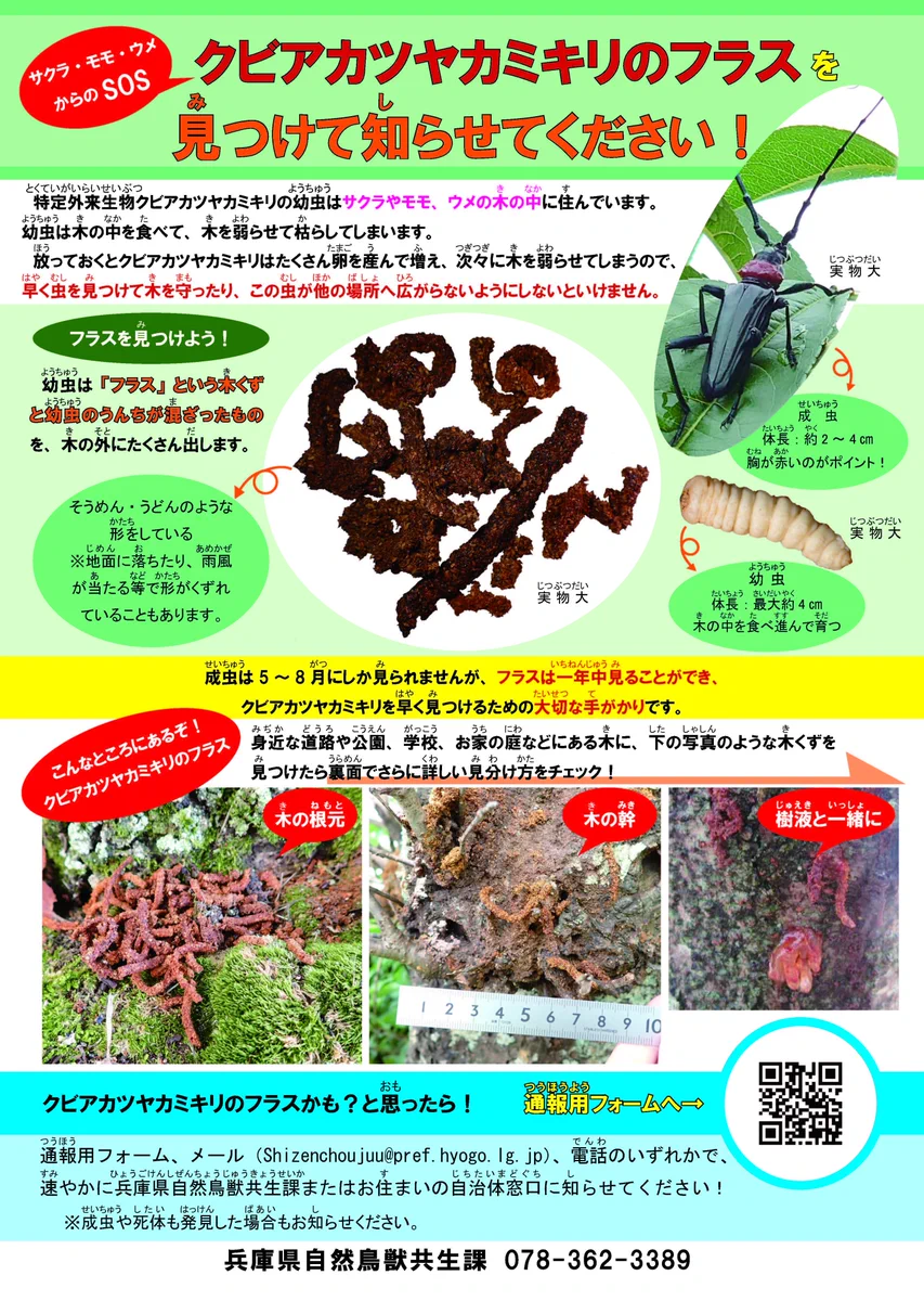 門隆志 兵庫県議 on X: 