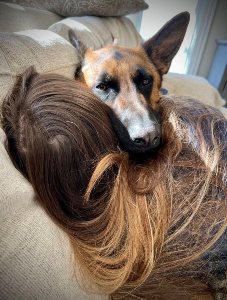 silesto357's tweet photo. Life is better with dogs 😍🎾
#Dogmom #Dogwhore
 #dogmother #usa2026
https://t.co/N7akT5pnZ2 https://t.co/4Ejm36XDsp