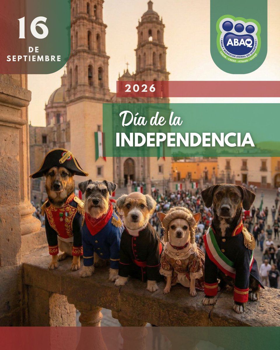 ABAQQueretaroBA's tweet photo. Hoy celebramos la libertad y la unión 🇲🇽💚
Construyamos un México con más empatía hacia todos los seres vivos 🐾
#16DeSeptiembre #ABAQ #AlEsterilizaryAdoptarmasconHogar #AdoptaEsterilizaSalvaVidasTransformalaTuya 💚 https://t.co/2vlFwZLjb7