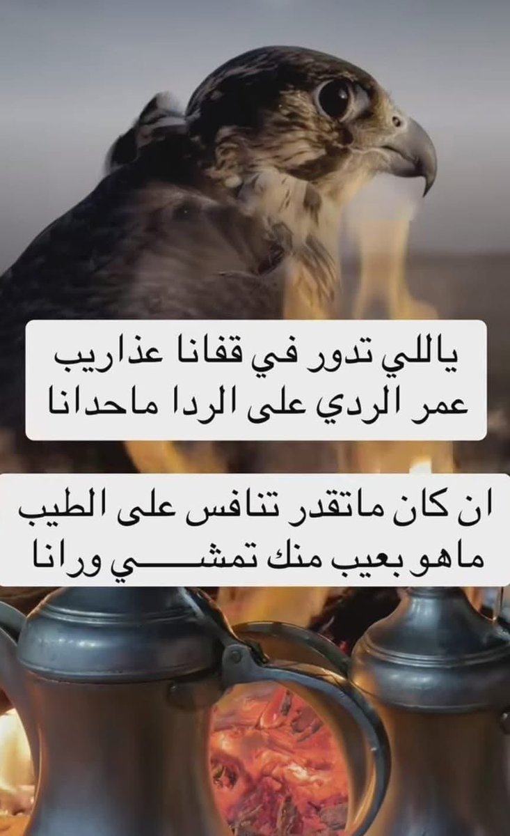 gevwey's tweet photo. #مساء_الخـير 🌹🌹 https://t.co/7BhCO4WI5L
