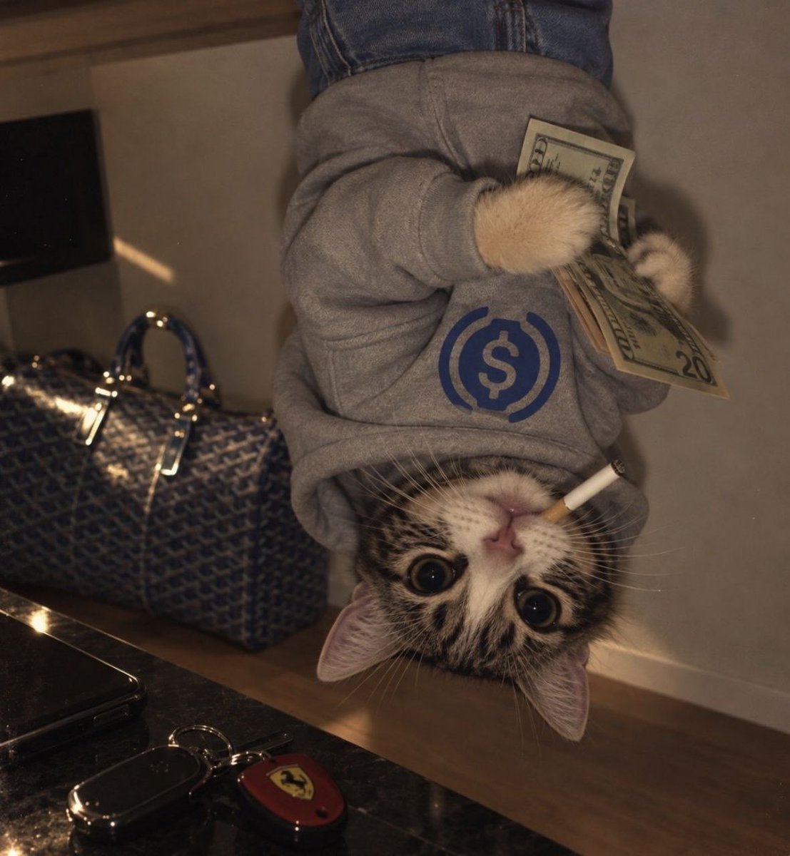 MoneyLord's tweet photo. If @arc has a 100m+ meme runner, this is the one https://t.co/sRxJw252Xq