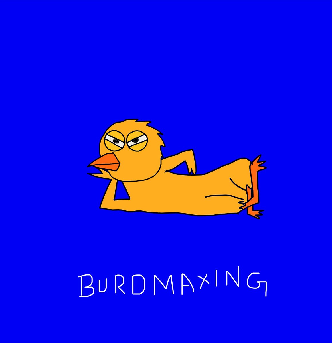 BurdCommunity's tweet photo. burd is the wurd https://t.co/sx95Vt8l8m