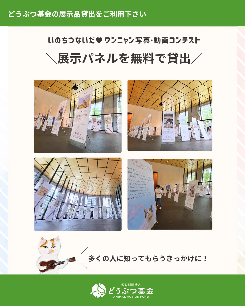 HSVAxU0aEAAKkZP?format=webp&