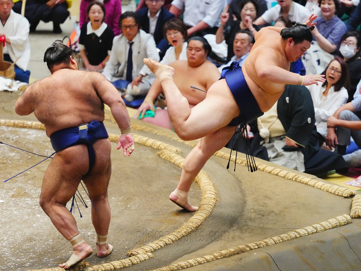 Ichiro_SUMO's tweet photo. 秋場所4日目終了時
全勝＝琴櫻
１敗＝大の里、霧島、安青錦、熱海富士、美ノ海、隆の勝、狼雅、朝乃山、藤青雲、尊富士、宇良、金峰山、若元春、朝紅龍、朝翠龍、寿之富士
https://t.co/RlbRrh6OPa https://t.co/kGVvAguxqp