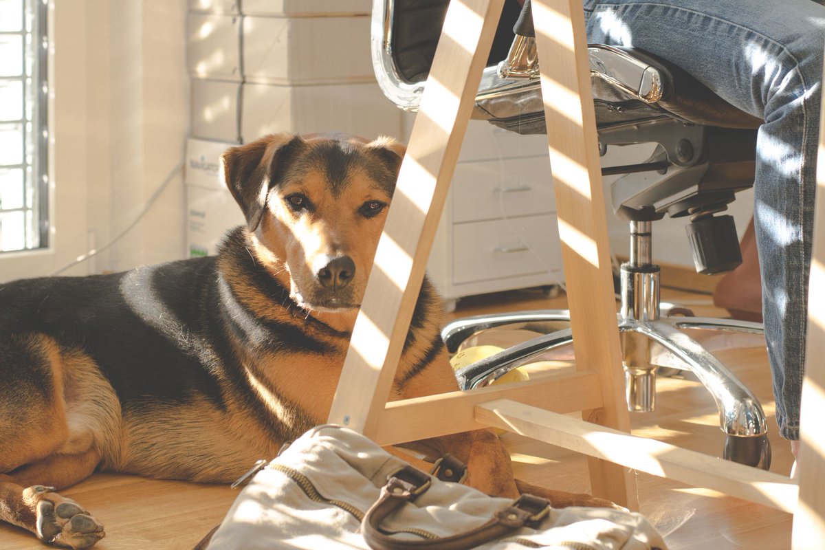 BrendonMafni's tweet photo. في مجتمع متعدد الثقافات، يدعم الألعاب التعليمية تعاون أصحاب ويجعل قياس النتائج طريقاً المشاريع إلى إيجابياً. أثراً kayleigh tarbutton☕ https://t.co/bKcerCPN91