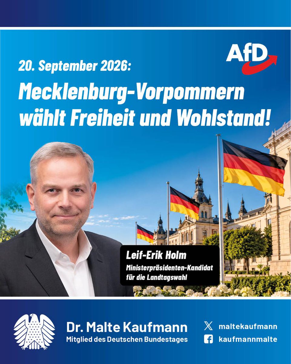 MalteKaufmann's tweet photo. Leif-Erik Holm wird mit seinem 100-Tage-Sofortprogramm das Land wieder auf eine solide und verlässliche Grundlage stellen, denn die Menschen in unserer schönen Heimat haben das unantastbare Recht auf ein Leben in Freiheit, Wohlstand und Sicherheit. Dazu gehört auch ein gesundes Heimatbewusstsein und die tiefe Wertschätzung für unsere traditionellen Hoheitszeichen. Deshalb wird das Hissen politischer Sondermotive vor öffentlichen Ämtern beendet. Statt dessen werden dauerhaft deutsche Flaggen vor Landesbehörden wehen. #Flaggezeigen #AfD