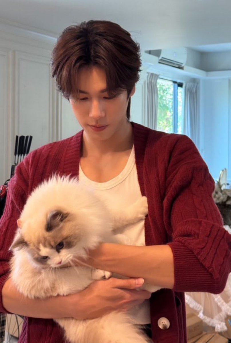 dusktilld4vvn's tweet photo. pretty boy (⁠๑⁠♡⁠⌓⁠♡⁠๑⁠) https://t.co/5gvC1xVCFr