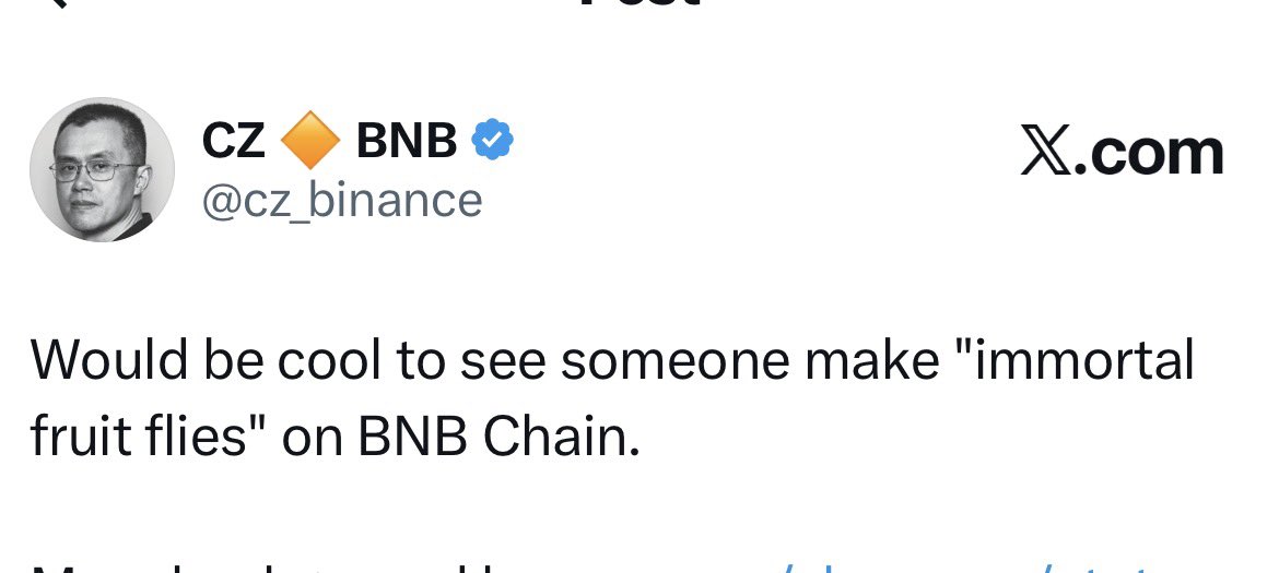 g6fhphdpyj's tweet photo. @cz_binance has literally been asking for an “immortal fruit flies” project on BNB Chain.

Now imagine the attention this gets if $FLYLIFE actually takes off 👀

The narrative is already sitting there. The tweet is public. The community is watching.

This could be INSANE 🚀🪰 https://t.co/d9uXrlBPvF