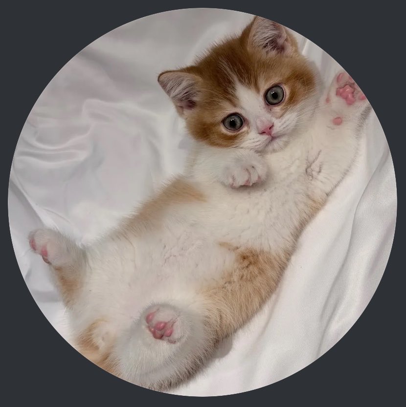 santalways's tweet photo. look at that pink pawww😭🤏🏻

#Santapp https://t.co/SlLcf5MwQE