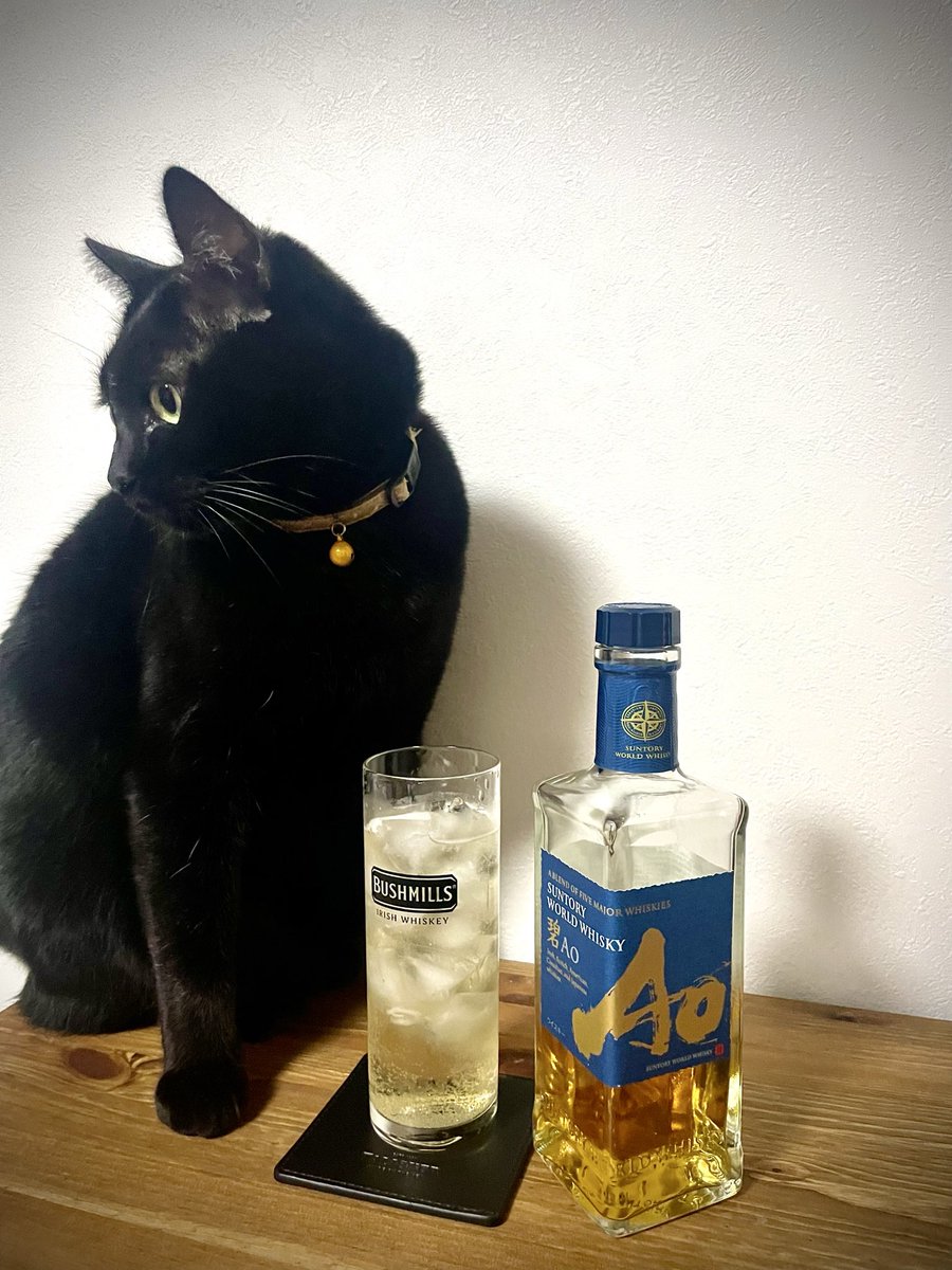 zeal105's tweet photo. 今日は碧Aoと黒🐈‍⬛で乾杯です🥃
#���イスキー　#サントリー碧Ao  #ハイボール　＃猫　#黒猫　#TWLC https://t.co/3LwVzFm0Zu