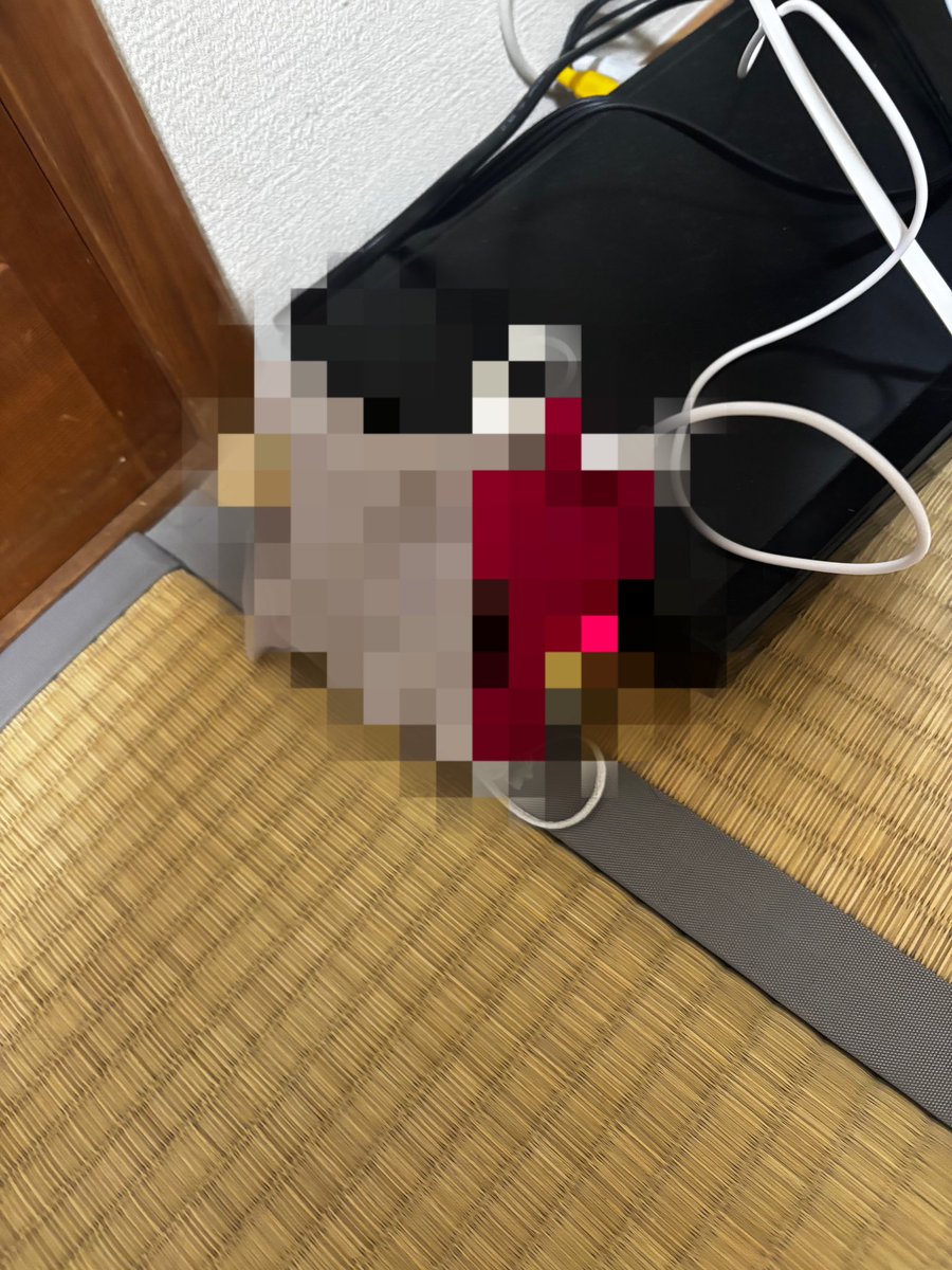 _koharu_06's tweet photo. のんちゃんが、露出多めの部屋着で
エレベーター前で待っててくれた🤣🤣🤣
そして、充電中🔌笑 https://t.co/OcqFPtsHPd