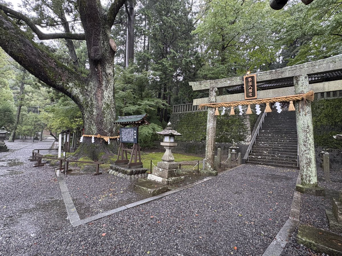 Egreen_michi's tweet photo. 今日は雨の事任八幡宮参拝🙏🏻
趣があってよかった。貸切のようで贅沢だったな。 https://t.co/EOuVhS1s9N