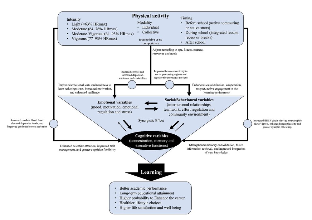a_garciahermoso's tweet photo. 🚨🏃‍♂️🧠 Moverse también ayuda a aprender.

Revisión sistemática: 42 estudios y >28.000 jóvenes (6–16 años).

📚 ↑ Atención y memoria
🧠 ↑ Funciones ejecutivas
🔥 ↑ Motivación
🤝 ↑ Cooperación

Y ojo: la intensidad, el contexto y el momento importan 👀

https://t.co/DHKsUiJCjp https://t.co/Zs7skZMALE