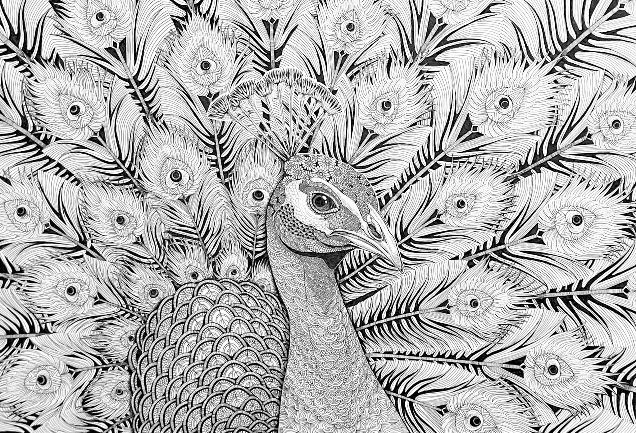 ボールペン画アーティスト✒️Saki on X: 