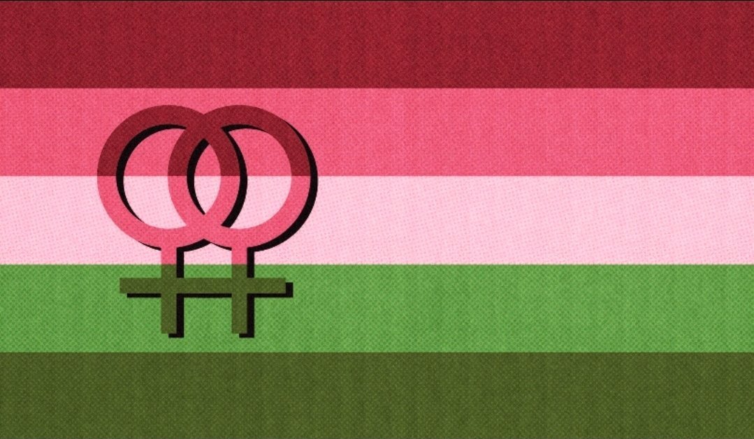 lucilleSpilled's tweet photo. OOMFS, PLEASE READ! ⚠️ 
Pedophiles are using this flag as a dogwhistle, Please 8e wary if you see anyone with this flag anywhere. https://t.co/UtYX1xb4Yi