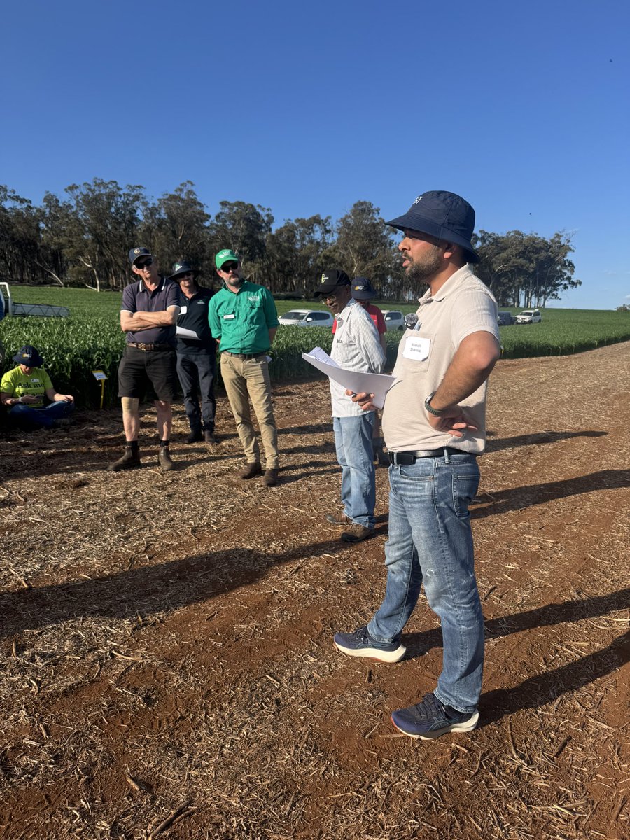 DirtSouthern's tweet photo. One we've been VERY keen to show growers 👀🌱
Our High P-Fixing Soils trial – investigating phosphorus use efficiency, crop response and ultimately ROI from P management.
Plenty more to come from this site.
#SouthernDirt #GRDC # #HighPFixingSoils #phosphorus #SoilMgmt. https://t.co/uB5k3XXo2x