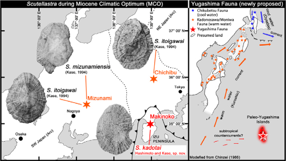 Paleont_Res's tweet photo. PR PUB. INF.
A new Miocene Scutellastra(Patellidae: Gastropoda: Mollusca) from the Izu Peninsula, Japan, and the paleobiogeographic significance of the molluscan fauna of the Yugashima Group
Kairu Hashimoto, Tomoki Kase, Susumu Tomida, Sachiko Agematsu
https://t.co/3IHR7Op55S https://t.co/SEJ8VDH8bv