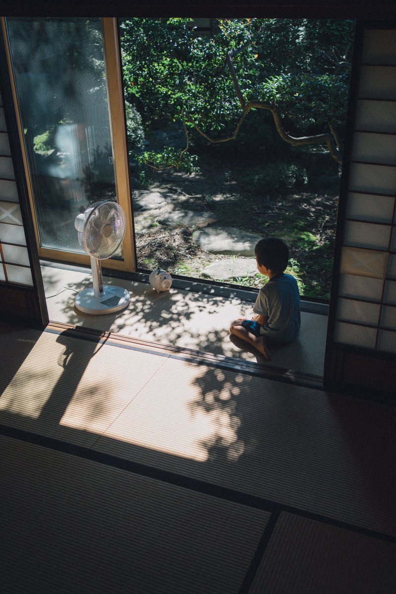 KBotchan's tweet photo. この子たちは、まだ、縁側でゴロゴロ、ダラダラしている時間が贅沢だってことを、わかってないんです https://t.co/ZOLccvBCph