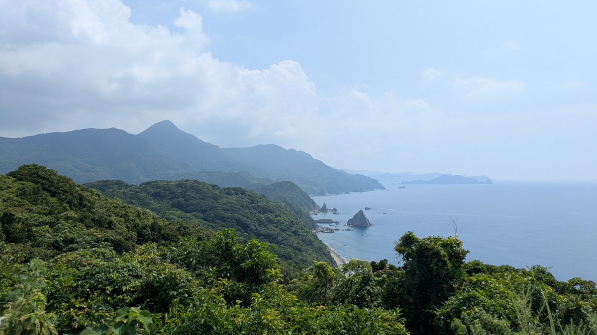 rita_rico's tweet photo. 港名物、妙に懐っこい猫とフェリーを待っています。今回の旅で3度目のフェリー。渡った先の港近くで今日は宿泊。船はいい……。 https://t.co/MsjePsgeHS