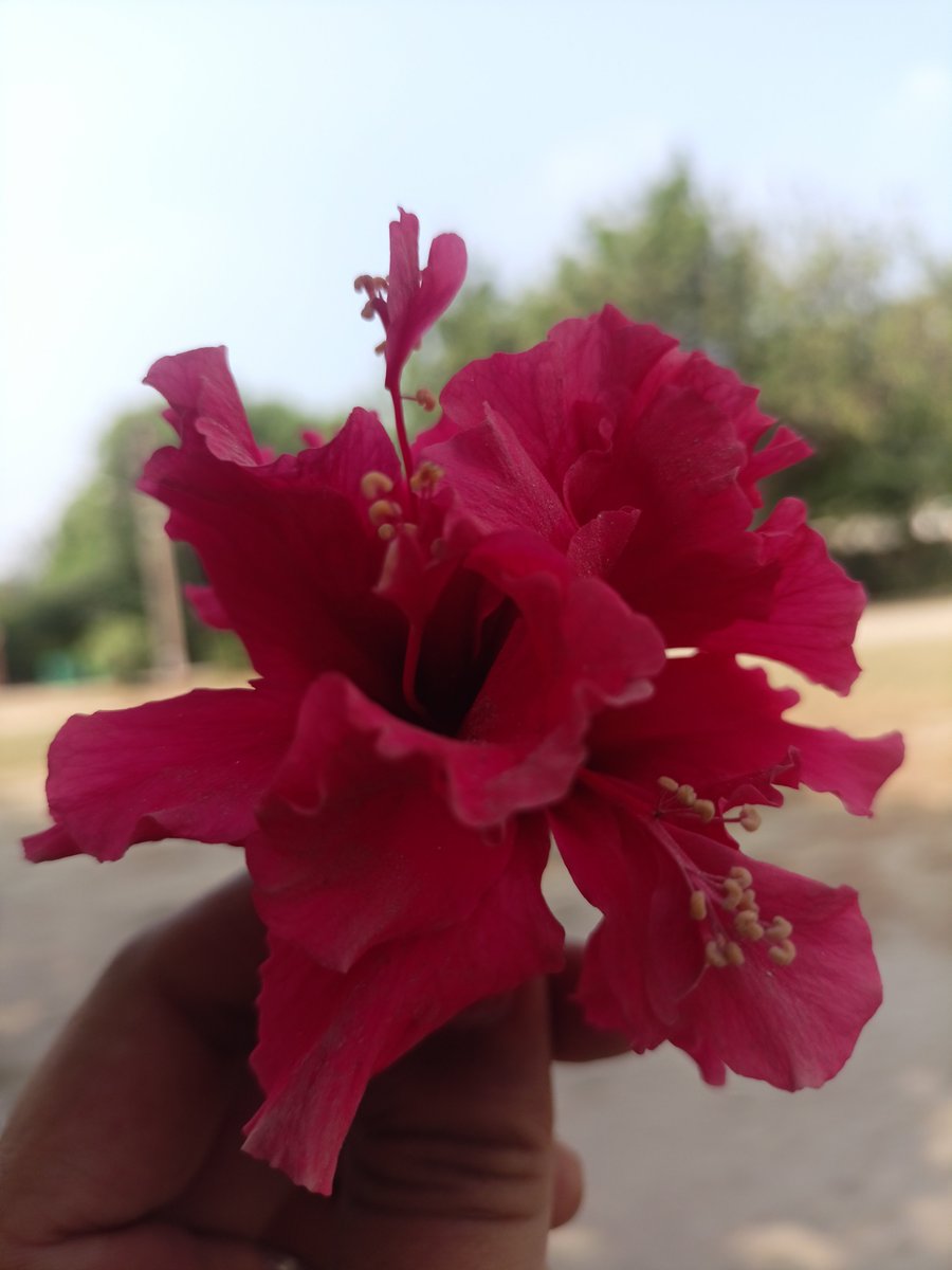 dhruvijat's tweet photo. अंदाज़ अपना थोड़ा अलग रखते हैं,
जो दिल में आए वही बात कहते हैं। 😎✨
भीड़ में चलना हमें पसंद नहीं,
हम अपनी पहचान खुद बनाते हैं। 🔥 https://t.co/sXB1tkjnXA