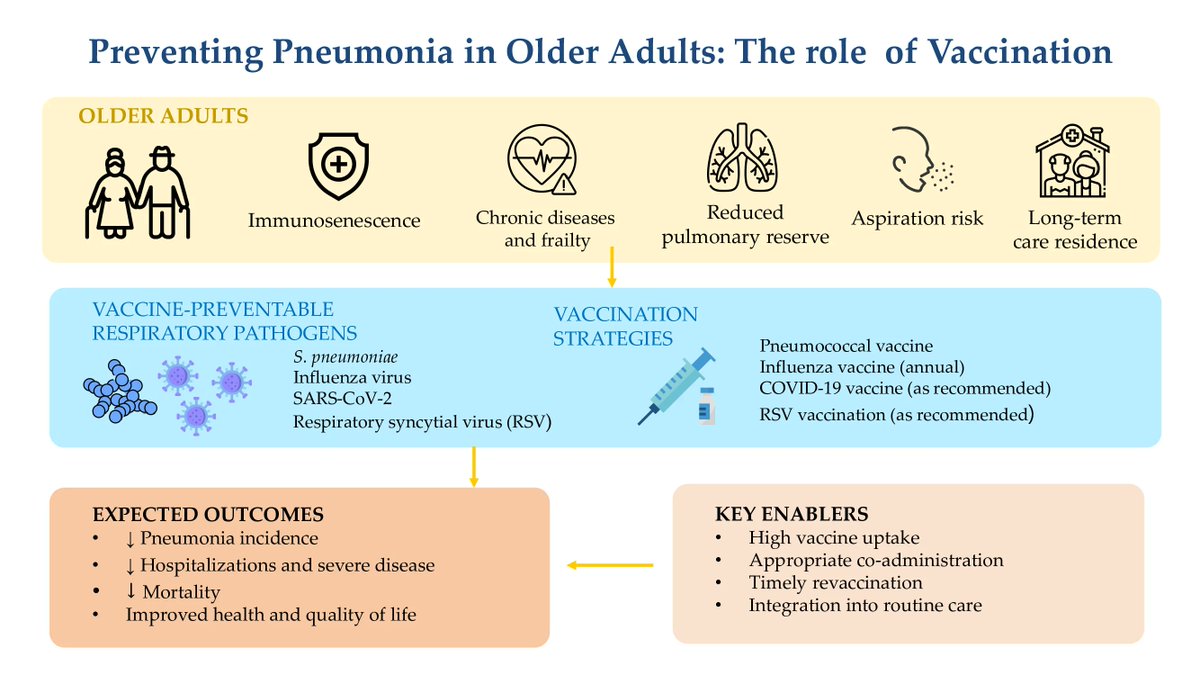 JGG_MDPI's tweet photo. 🫁Discover in this review by Catia Cilloniz et al. why older adults are particularly vulnerable to pneumonia and how vaccination may help reduce morbidity, mortality and long-term complications.

🔗 https://t.co/OkW3HhveIz

#Gerontology #Geriatrics #JGG https://t.co/uaenO4OGdc