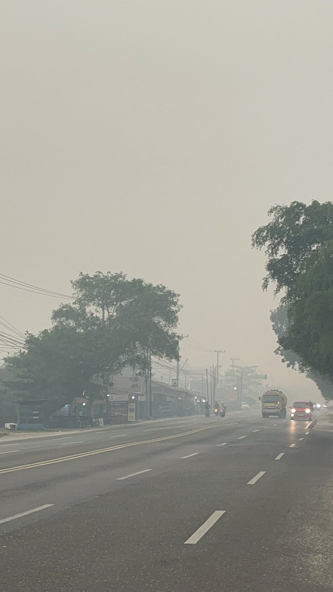 humaniesproject's tweet photo. TETAP BERISIK UNTUK KALIMANTAN 

Hingga sore ini, udara Palangkaraya masih sangat berbahaya. Tolong untuk terus menjaga diri, dan tetap menggunakan masker ketika keluar Rumah 😷 https://t.co/vOIRuLiZUF