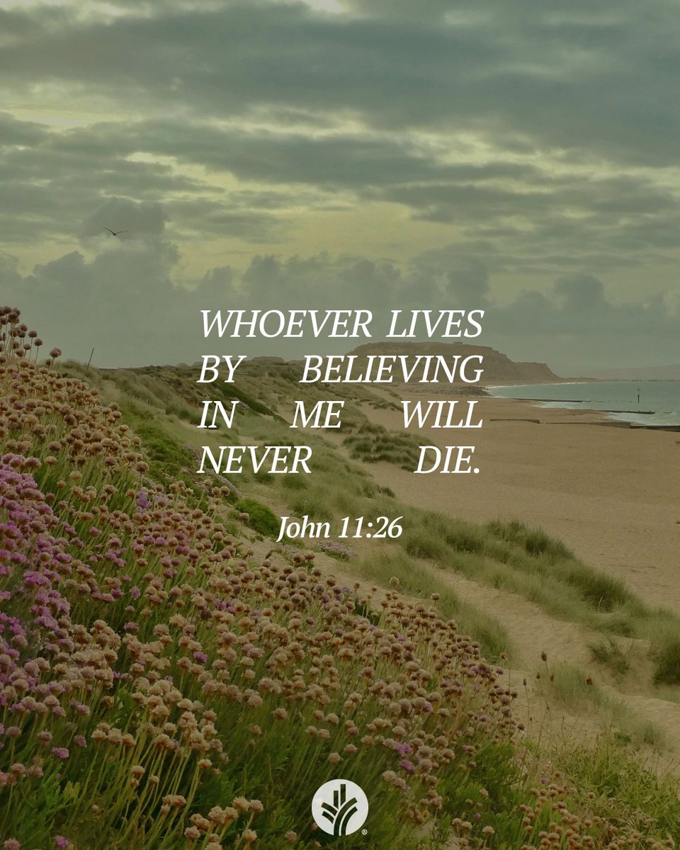 ourdailybread's tweet photo. Connect with God through today’s devotional! https://t.co/2F5d7rHzPH

📖 Read: John 11:17-27

🙏 Receive: "Dear Jesus, You’re the Messiah. Please help me to trust in You now and always."

❓Respond: What could you do today to celebrate life and eternity with God? https://t.co/O0k3NLyUS6