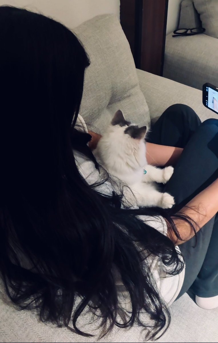 rnosupreme's tweet photo. Say hi to Milo🐾 https://t.co/lDlrQVIqYl