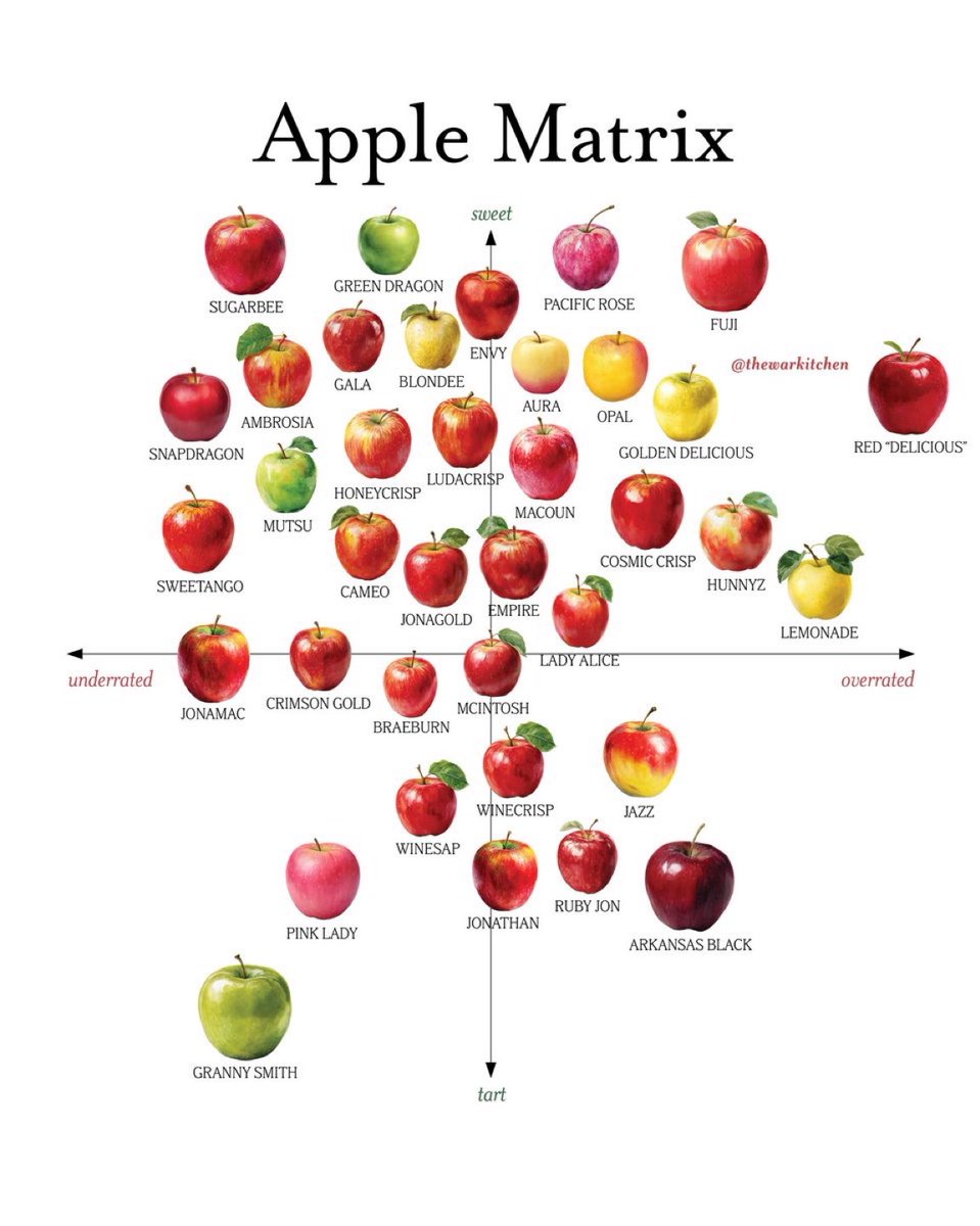reidrexia's tweet photo. need to know everyone’s thoughts on what the best apple is rn https://t.co/RJnYd7NcoJ