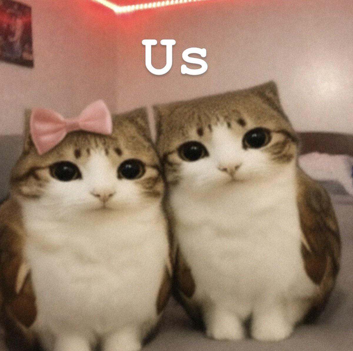 meowlreal1's tweet photo. Us https://t.co/DkyFteutVf