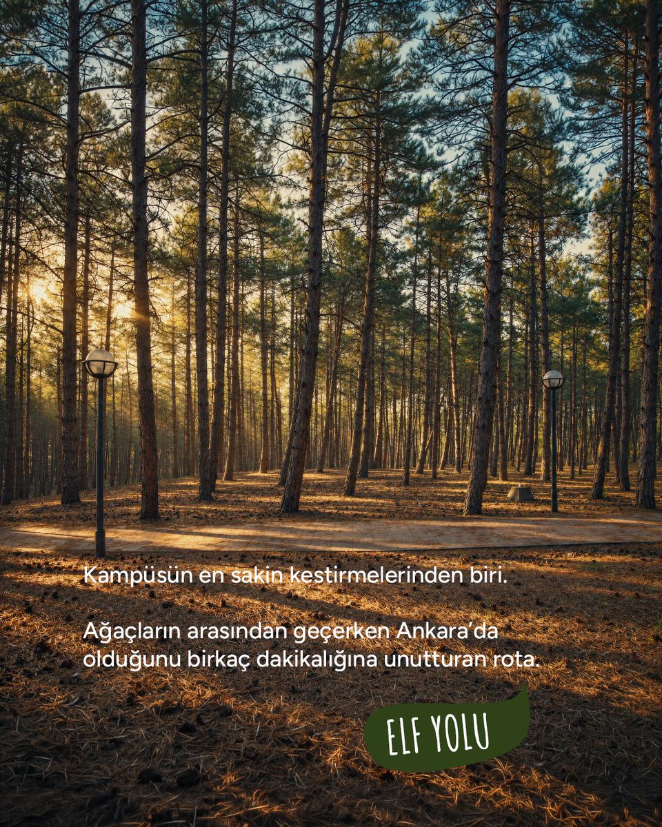 METU_ODTU's tweet photo. ODTÜ’ye yeni gelenlere küçük bir spoiler bırakalım:

Buluşmalar C Heykeli’nde, gün batımları Devrim’de, uzun sohbetler kortlarda… Kampüsün bütün yollarıysa bir şekilde Alle’de kesişiyor.

Şimdilik bunlar bizim favori köşelerimiz. Seninkini bulman çok uzun sürmez ♥️ https://t.co/L5L4x7kANE