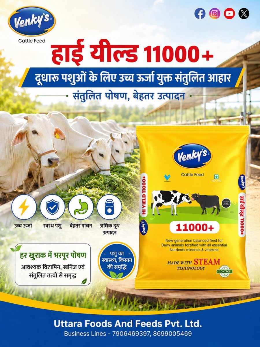VenkyFeed's tweet photo. उच्च ऊर्जा, संतुलित पोषण और बेहतर दूध उत्पादन Venky’s Hi-Yield 11000+ दुधारू पशुओं की पोषण संबंधी जरूरतों का भरोसेमंद समा��ान। ⚡🐄

📞 7906469397, 8699005469

#HiYield11000Plus #venkyscattlefeed #venkys #uttarafoodsandfeeds https://t.co/Bj99K3nqtK
