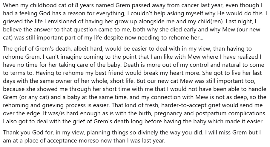 Anezza77's tweet photo. #grief #pet #petloss #loss #testimony #christian #ChristianFaith #sad #death #lovedone #petdeath #cancer #cat #cats #petcat #cute #pets #animal #animals #jesus #mourning #mourn #fuckcancer #mom #mother #family #familypet #christiantestimony https://t.co/MSU1LDnonw