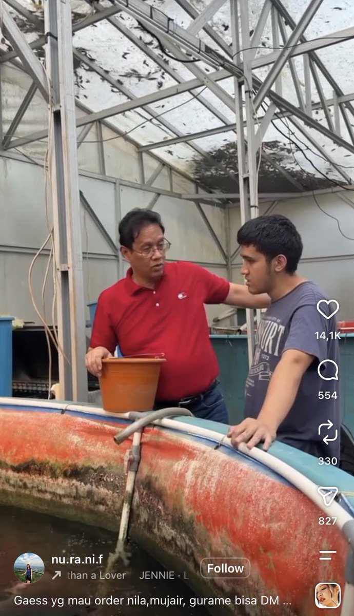LambeSahamjja's tweet photo. day 2 di pecat dari menteri:
- purbaya beneran mancing ikan
- sampe jual hasil kolamnya
- ada mujair,gurame, dll https://t.co/BaARcDVVpx