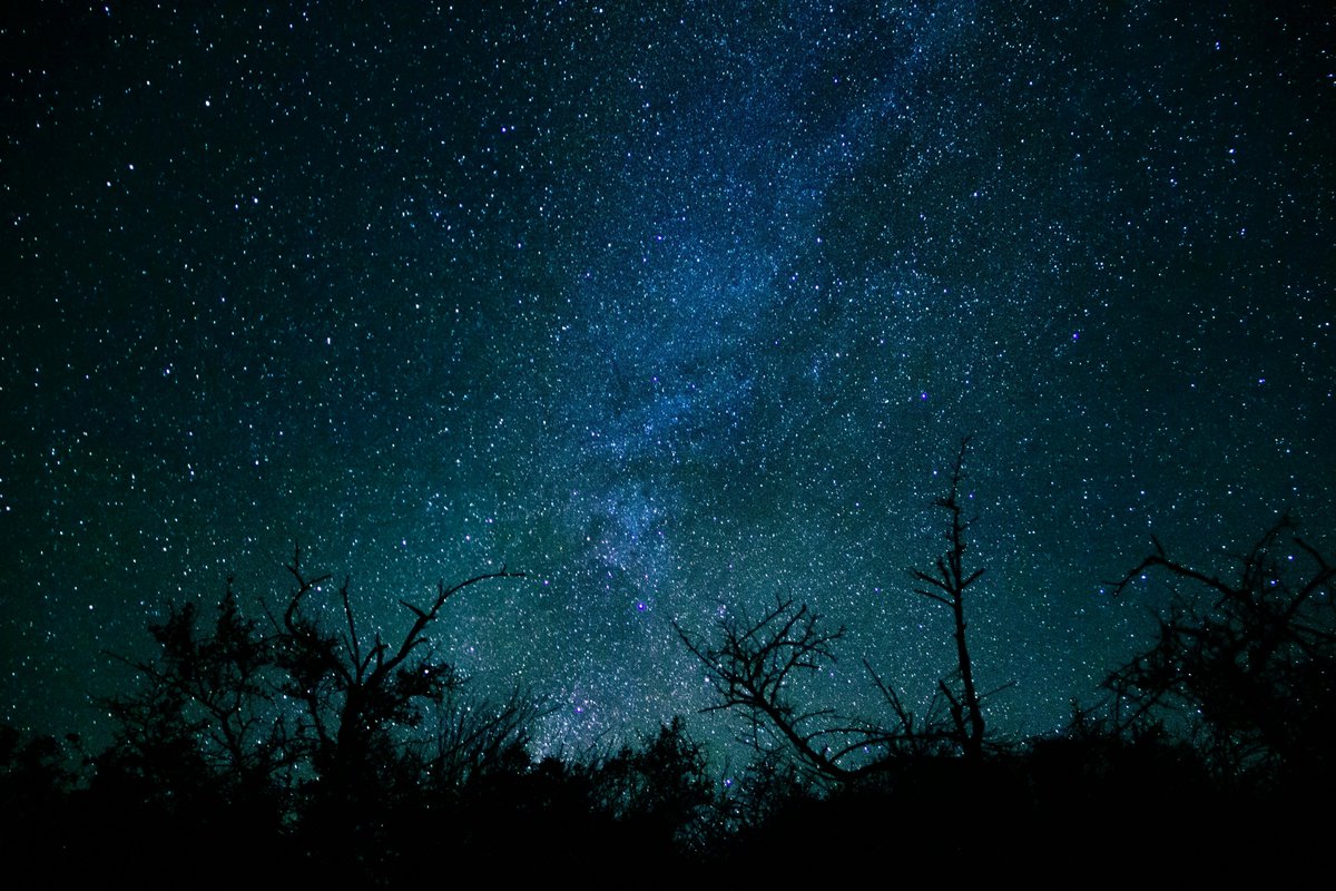 thomasdavisnls's tweet photo. Nothing seems urgent. The moonlit path rests against the windows. I do not need to understand it tonight. https://t.co/r1QhxbujPr