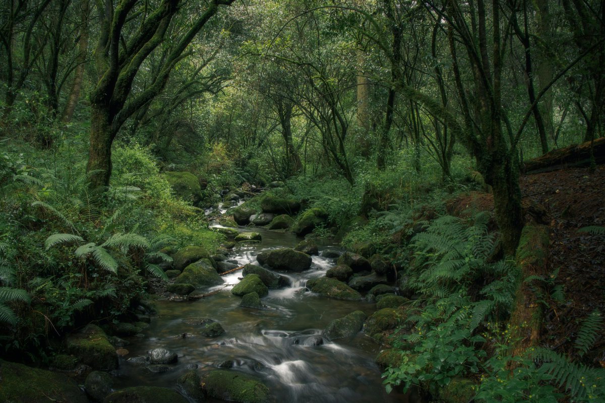 maynardtabbypva's tweet photo. I notice the sound of another summer. A distant hill follows the curve of the river. Tomorrow waits beyond the dark. https://t.co/bWQ1ypYLlF