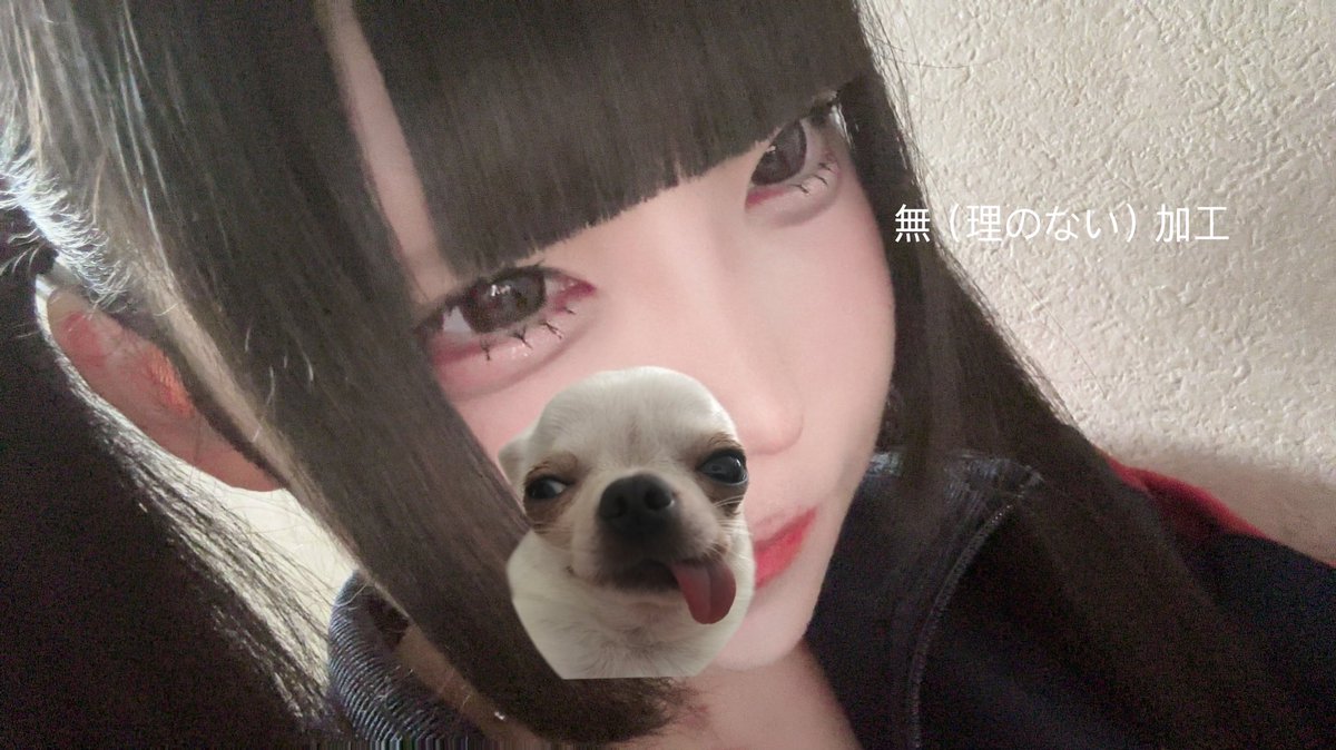 ctqwxi's tweet photo. #自撮り界隈 https://t.co/FmrGpsjfnN
