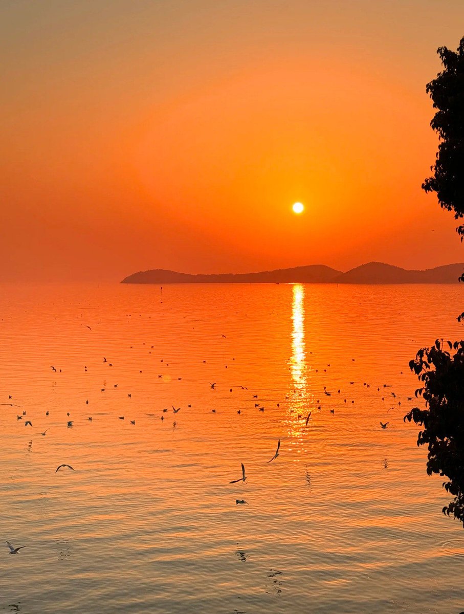 Coalapaduck's tweet photo. [Join our campus photography club’s sunset shoot this Fri at 5:30PM by the lake! All skill levels welcome—free snacks u0026 quick feedback from club pros. Tag a friend who loves nature shots!]， https://t.co/bf4tjJbUcL