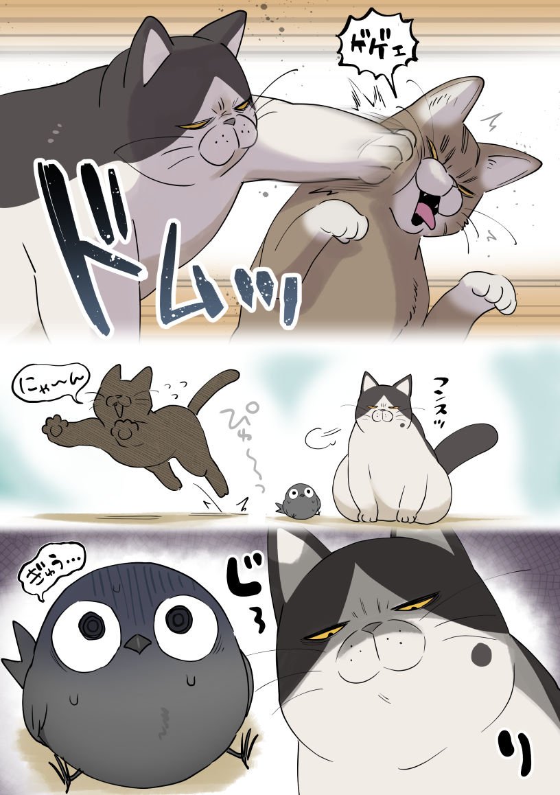 uhouho6514's tweet photo. カーくんと坂田さんがはじめて出会ったときのおはなし
#カラスの子 #創作 #人外 https://t.co/UK9KzqSW6M