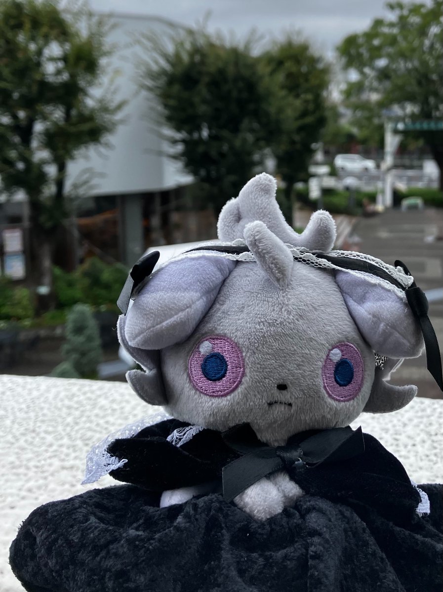 kamaboko_nyaaa's tweet photo. なんか ずっと雨☂️

#ニャスパーちゃん
#ポケモンfit
#ポケぬい https://t.co/VqkViKrJHv