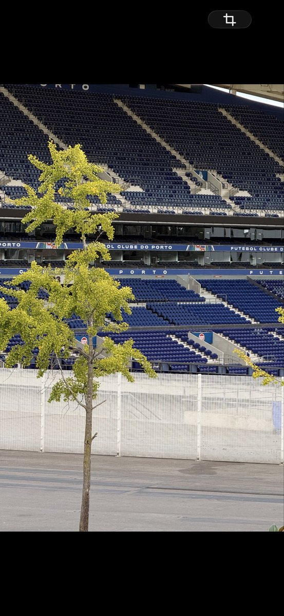 Hugodxp's tweet photo. @BassyBoy Due to renovations you need to update the main stand (premium seats), there are no boxes now.
The other main stand is also different, with tables with a TV for each person https://t.co/Ar3KSZZ6l4